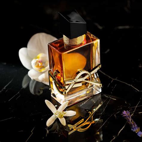 Ysl Fragrances 